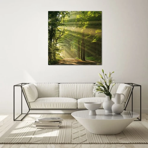Glasbild - Bild auf glas - Waldmoment - 40x40 cm