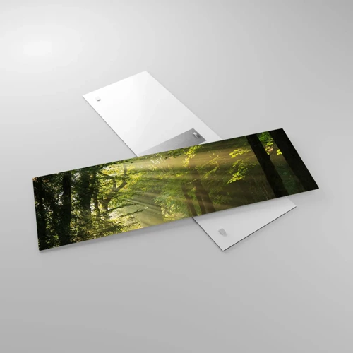 Glasbild - Bild auf glas - Waldmoment - 90x30 cm