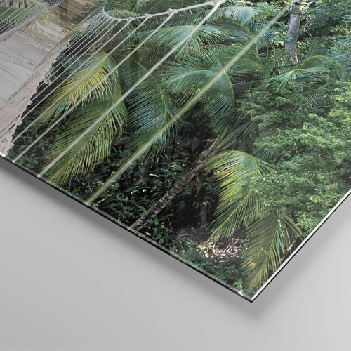 Glasbild - Bild auf glas - Willkommen im Dschungel! - 160x50 cm