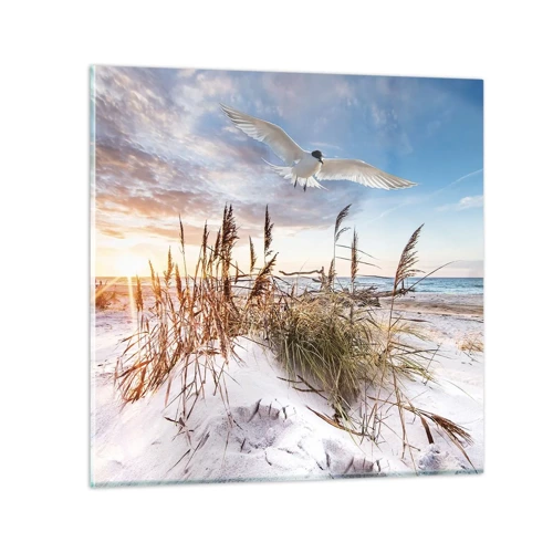 Glasbild - Bild auf glas - Wind vom Meer - 70x70 cm