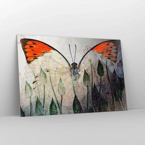 Glasbild - Bild auf glas - Wo schwingt der Schmetterling im Gras - 120x80 cm