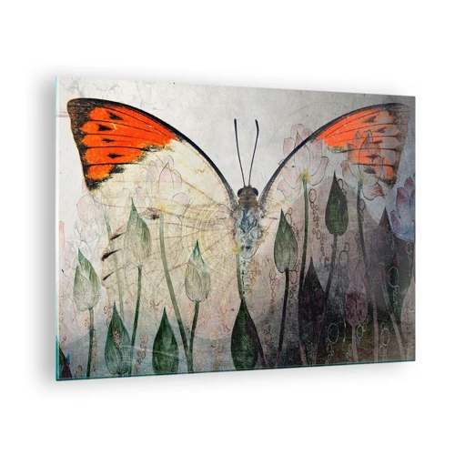 Glasbild - Bild auf glas - Wo schwingt der Schmetterling im Gras - 70x50 cm