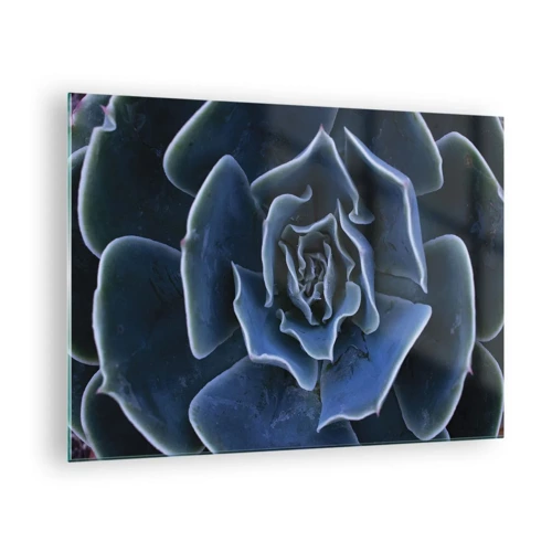 Glasbild - Bild auf glas - Wüstenblume - 70x50 cm