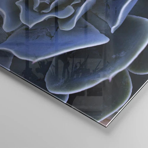 Glasbild - Bild auf glas - Wüstenblume - 80x120 cm
