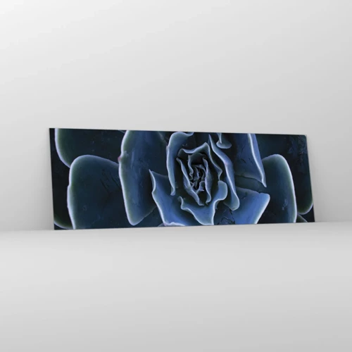 Glasbild - Bild auf glas - Wüstenblume - 90x30 cm