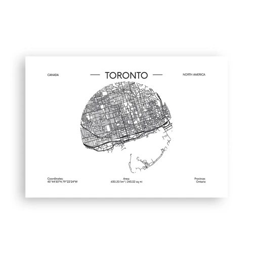 Poster - Anatomie von Toronto - 100x70 cm