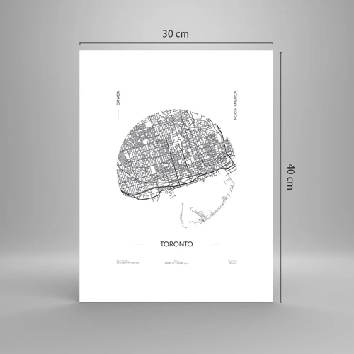 Poster - Anatomie von Toronto - 30x40 cm