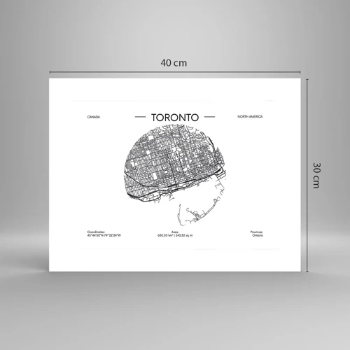 Poster - Anatomie von Toronto - 40x30 cm