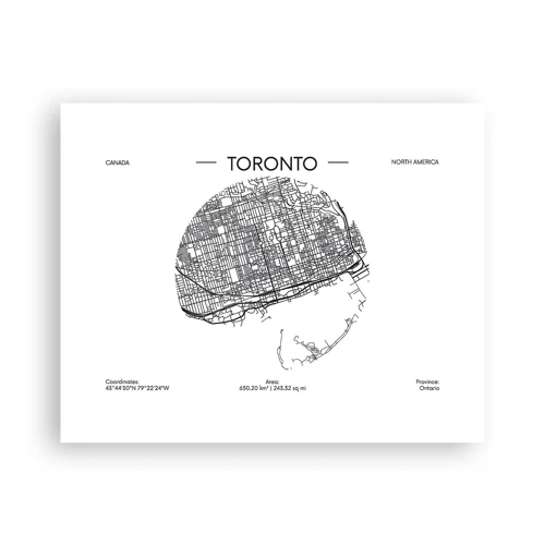 Poster - Anatomie von Toronto - 50x40 cm