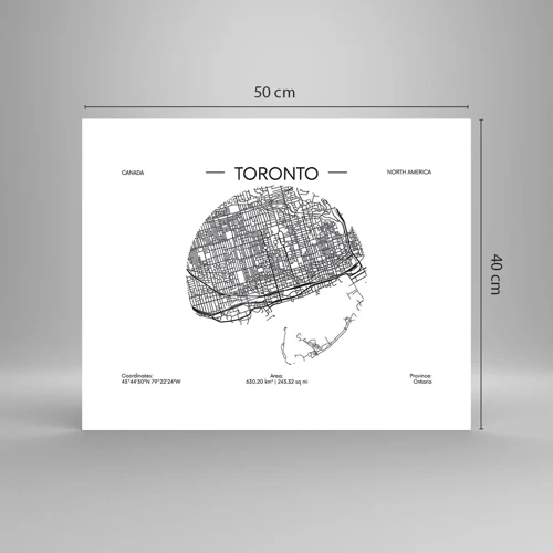 Poster - Anatomie von Toronto - 50x40 cm