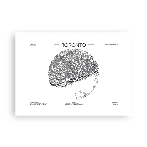 Poster - Anatomie von Toronto - 70x50 cm