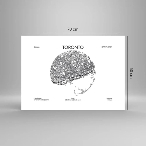 Poster - Anatomie von Toronto - 70x50 cm