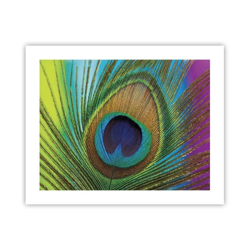 Poster - Auge in Auge - 50x40 cm