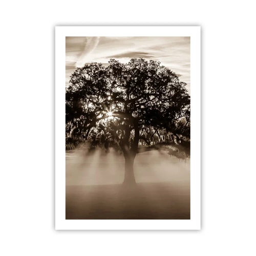 Poster - Baum der guten Nachrichten  - 50x70 cm