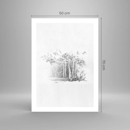 Poster - Das Licht des Birkenwaldes - 50x70 cm