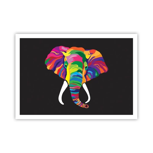 Poster - Der Elefant, der es liebte, im Regenbogen zu baden - 100x70 cm