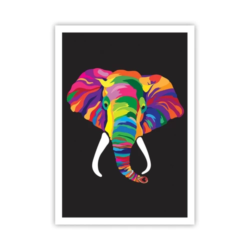 Poster - Der Elefant, der es liebte, im Regenbogen zu baden - 70x100 cm