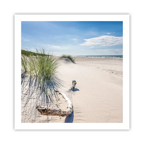 Poster - Der schönste Strand? Ostsee-Strand - 60x60 cm