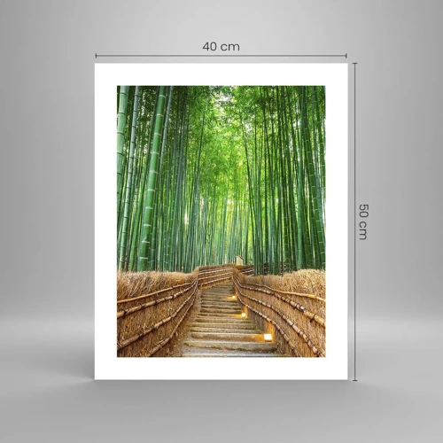 Poster - Die Essenz der asiatischen Natur - 40x50 cm