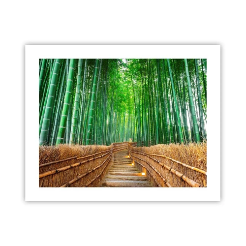 Poster - Die Essenz der asiatischen Natur - 50x40 cm