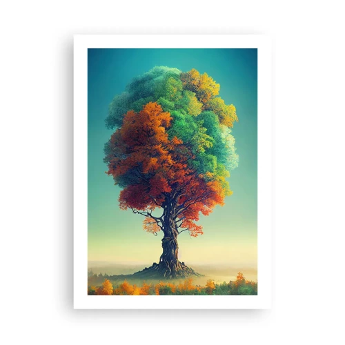 Poster - Eiche – der Vater der Natur - 50x70 cm