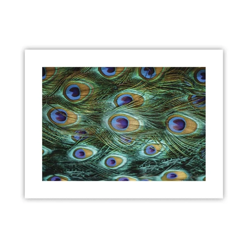 Poster - Ein Blick mit Pfauenaugen - 40x30 cm