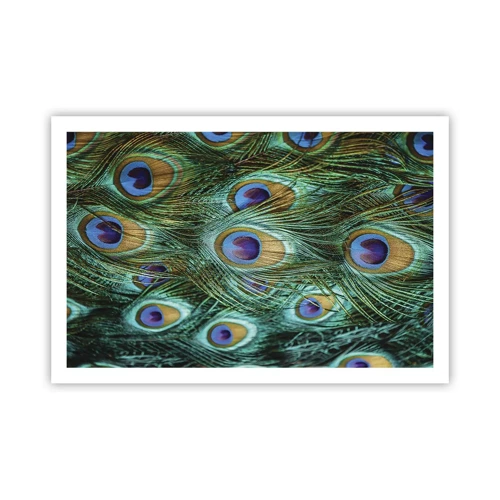 Poster - Ein Blick mit Pfauenaugen - 91x61 cm