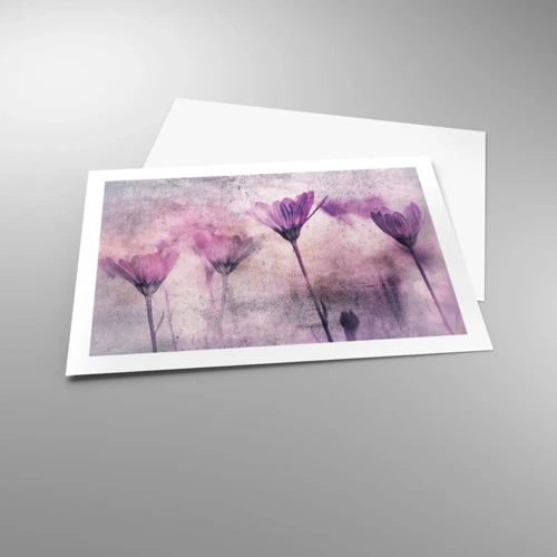 Poster - Ein Blumentraum - 70x50 cm