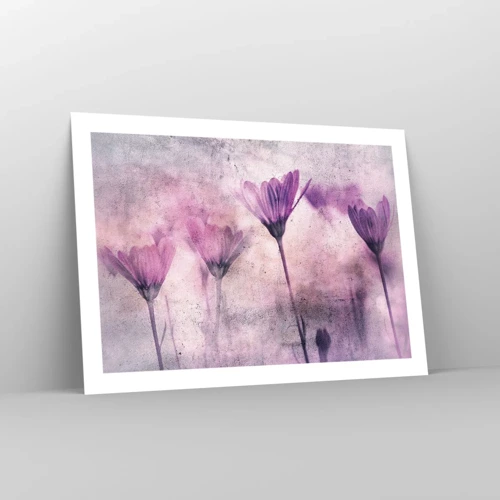 Poster - Ein Blumentraum - 70x50 cm