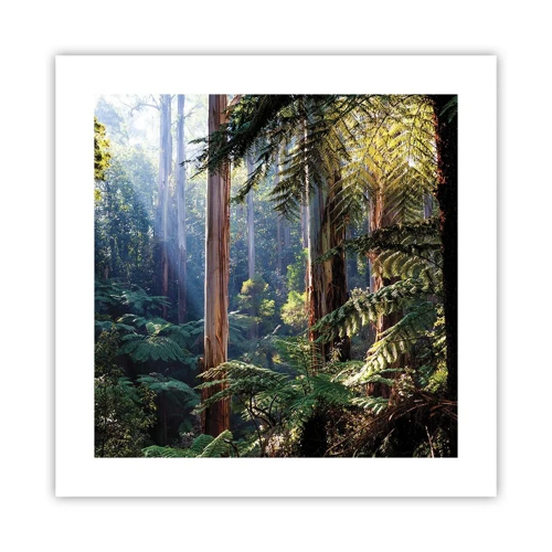 Poster - Ein Waldmärchen - 40x40 cm
