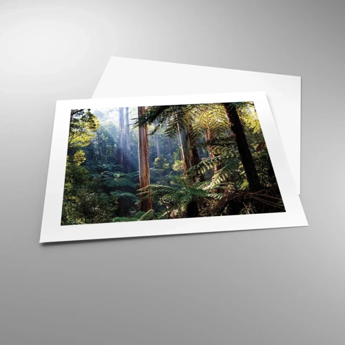 Poster - Ein Waldmärchen - 50x40 cm