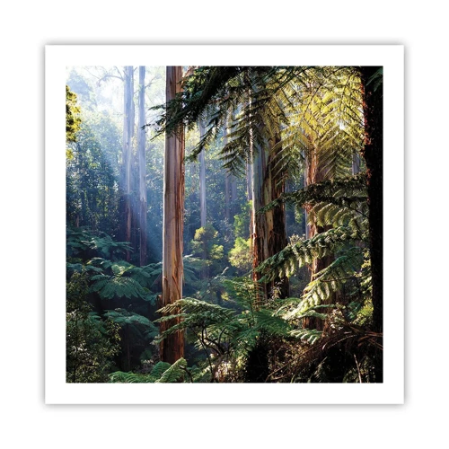 Poster - Ein Waldmärchen - 60x60 cm