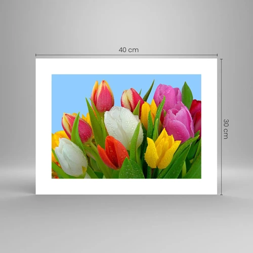 Poster - Ein blumiger Regenbogen in Tautropfen - 40x30 cm