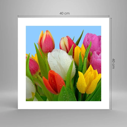 Poster - Ein blumiger Regenbogen in Tautropfen - 40x40 cm