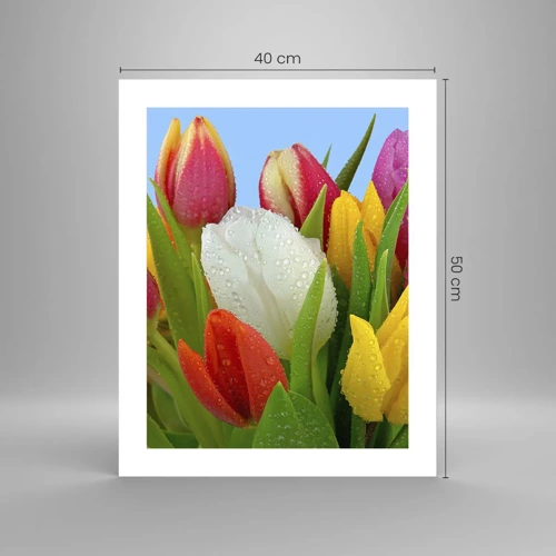 Poster - Ein blumiger Regenbogen in Tautropfen - 40x50 cm