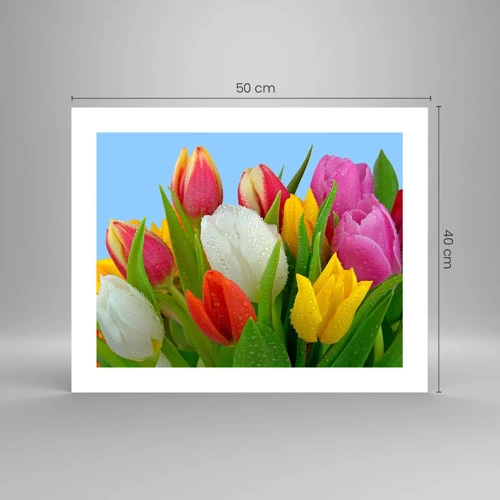 Poster - Ein blumiger Regenbogen in Tautropfen - 50x40 cm