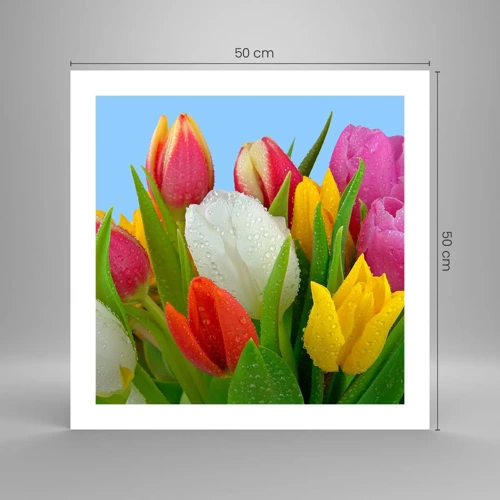 Poster - Ein blumiger Regenbogen in Tautropfen - 50x50 cm