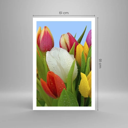 Poster - Ein blumiger Regenbogen in Tautropfen - 61x91 cm