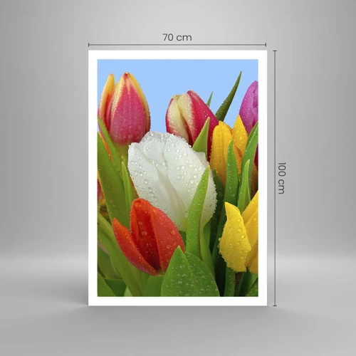 Poster - Ein blumiger Regenbogen in Tautropfen - 70x100 cm