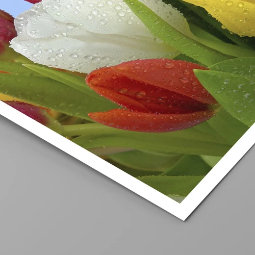 Poster - Ein blumiger Regenbogen in Tautropfen - 70x100 cm