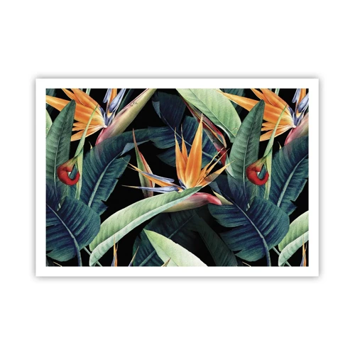 Poster - Flammende Blumen der Tropen - 100x70 cm