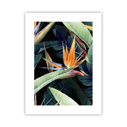 Poster - Flammende Blumen der Tropen - 30x40 cm