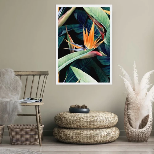 Poster - Flammende Blumen der Tropen - 30x40 cm