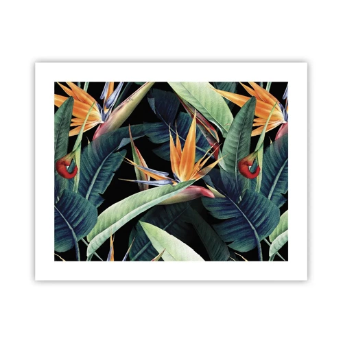 Poster - Flammende Blumen der Tropen - 50x40 cm