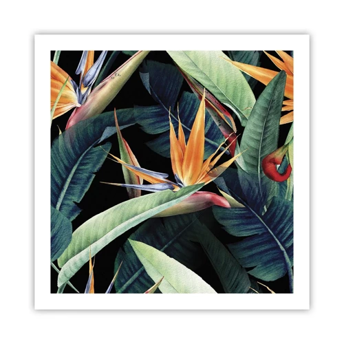 Poster - Flammende Blumen der Tropen - 60x60 cm