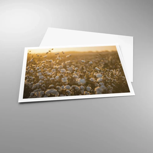 Poster - Fluffiges Feld - 100x70 cm