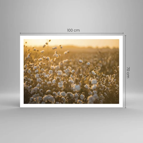 Poster - Fluffiges Feld - 100x70 cm