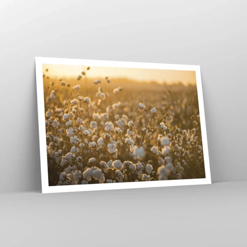 Poster - Fluffiges Feld - 100x70 cm