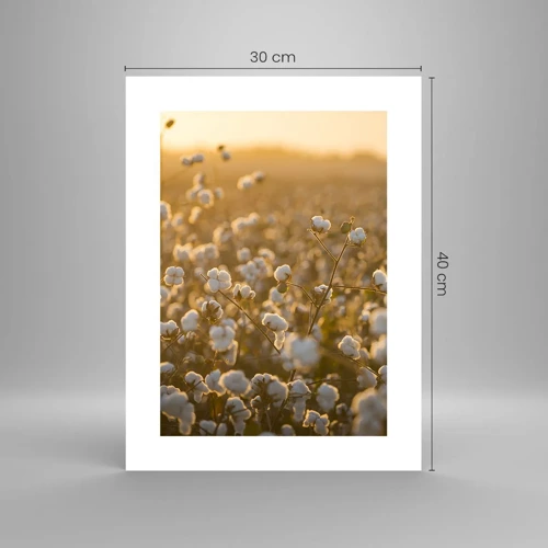 Poster - Fluffiges Feld - 30x40 cm