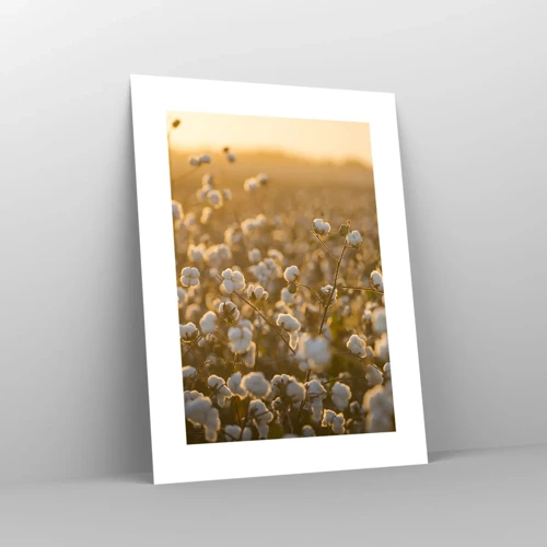 Poster - Fluffiges Feld - 30x40 cm